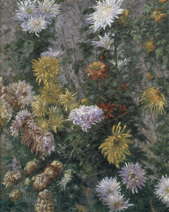 Gustave Caillebotte White and yellow chrysanthemum